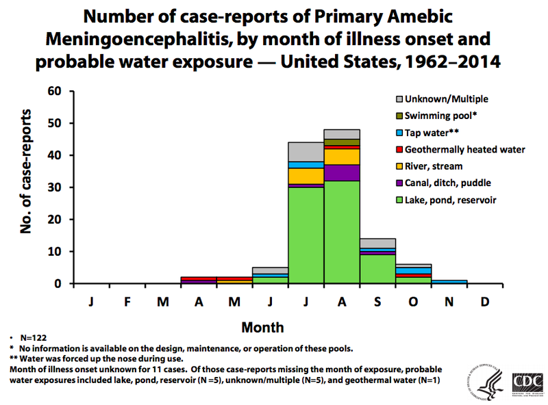 Illustration for article titled Brain-Eating Amoebas Have Struck Again in Minnesota